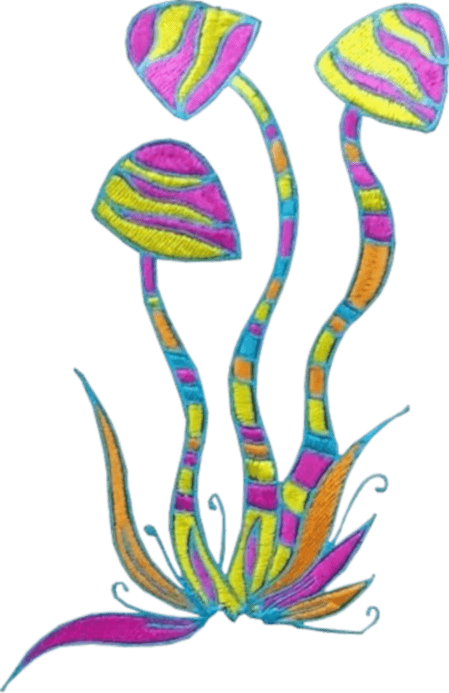 Дамска тениска с бродерия Psychedelic Mushrooms