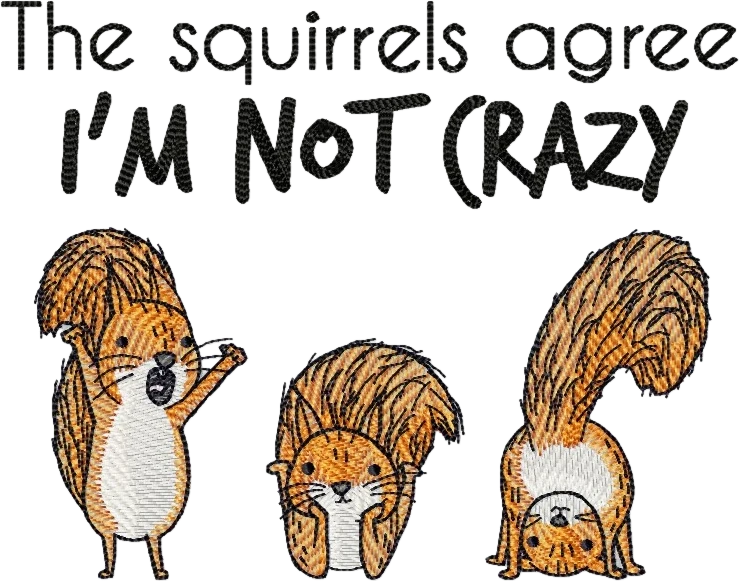 Дамска тениска Im Not Crazy Squirrels
